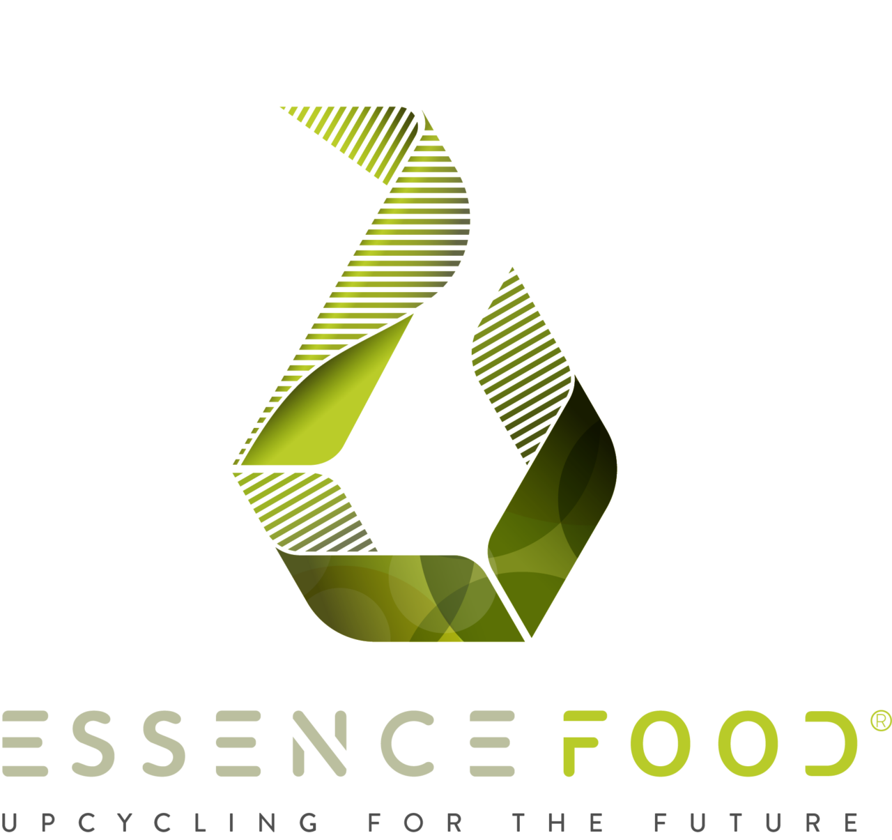 Logo ESSENCE FOOD