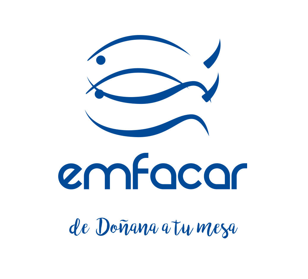 Logo EMFACAR